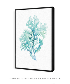 Quadro decorativo Coral II - loja online