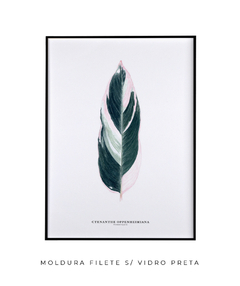 Quadro decorativo Ctenanthe - Flowersjuls - Quadros decorativos botânicos | Aquarelas autorais