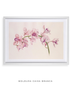 Quadro Decorativo Cymbidium - Flowersjuls - Quadros botânicos decorativos | Aquarelas autorais