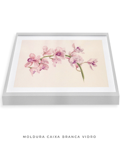 Quadro Decorativo Cymbidium - loja online