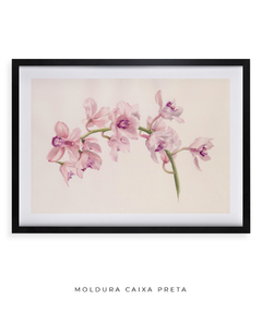 Quadro Decorativo Cymbidium - Flowersjuls - Quadros botânicos decorativos | Aquarelas autorais