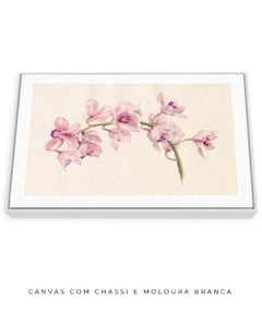 Imagem do Quadro Decorativo Cymbidium