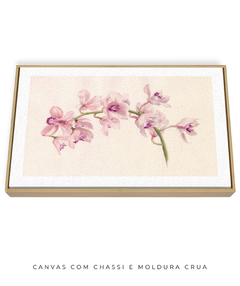 Quadro Decorativo Cymbidium