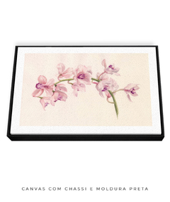 Quadro Decorativo Cymbidium na internet