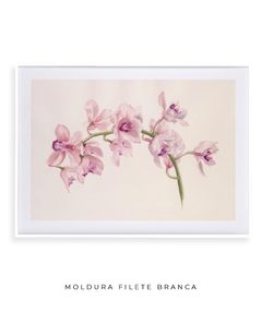 Quadro Decorativo Cymbidium - loja online