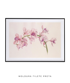 Quadro Decorativo Cymbidium - Flowersjuls - Quadros botânicos decorativos | Aquarelas autorais