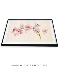 Quadro Decorativo Cymbidium - loja online