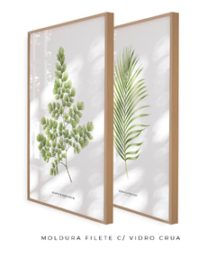 Quadro Decorativo Dupla Avenca e Palmeira Dypsis - comprar online