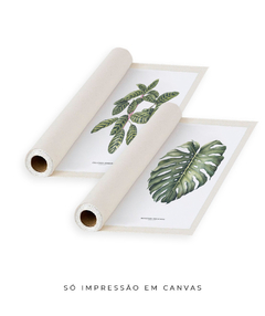 Quadro Decorativo Dupla Calathea + Monstera - comprar online