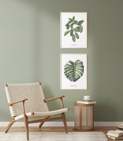 Quadro Decorativo Dupla Calathea + Monstera