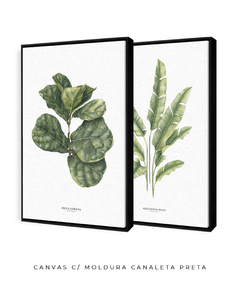 Imagem do Quadro Decorativo Dupla Ficus Lyrata + Heliconia