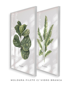 Quadro Decorativo Dupla Ficus Lyrata + Heliconia na internet
