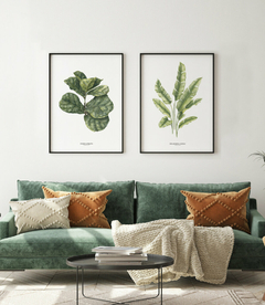 Quadro Decorativo Dupla Ficus Lyrata + Heliconia