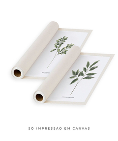 Quadro Decorativo Dupla Gardenia + Oliva - comprar online
