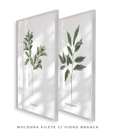 Quadro Decorativo Dupla Gardenia + Oliva - comprar online