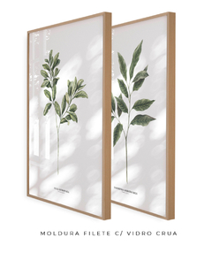 Quadro Decorativo Dupla Gardenia + Oliva - Flowersjuls - Quadros decorativos botânicos | Aquarelas autorais