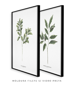 Quadro Decorativo Dupla Gardenia + Oliva - loja online