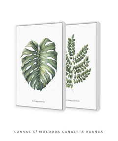 Quadro Decorativo Dupla Monstera + PauBrasil - Flowersjuls - Quadros decorativos botânicos | Aquarelas autorais