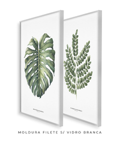 Quadro Decorativo Dupla Monstera + PauBrasil - comprar online