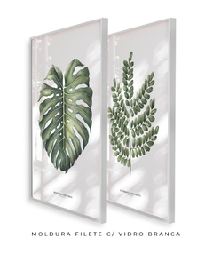 Quadro Decorativo Dupla Monstera + PauBrasil - Flowersjuls - Quadros decorativos botânicos | Aquarelas autorais