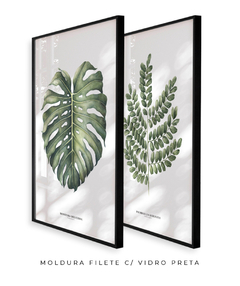 Quadro Decorativo Dupla Monstera + PauBrasil - Flowersjuls - Quadros decorativos botânicos | Aquarelas autorais