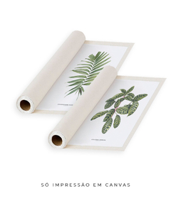 Quadro Decorativo Dupla Palm Elegans + Calathea Zebrina - Flowersjuls - Quadros decorativos botânicos | Aquarelas autorais