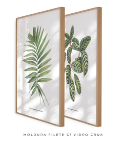 Quadro Decorativo Dupla Palm Elegans + Calathea Zebrina na internet