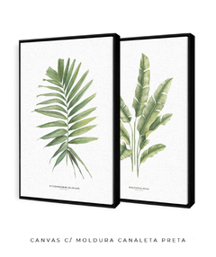 Quadro Decorativo Dupla PalmElegans + Heliconia - Flowersjuls - Quadros decorativos botânicos | Aquarelas autorais