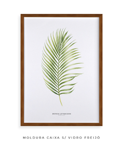 Quadro Decorativo Dypsis Lutescens - comprar online