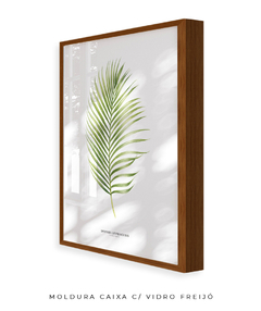 Quadro Decorativo Dypsis Lutescens na internet