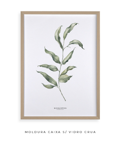 Quadro Decorativo Eucalipto I