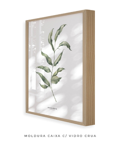 Quadro Decorativo Eucalipto I - comprar online