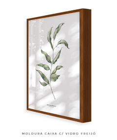 Quadro Decorativo Eucalipto I - loja online