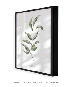 Quadro Decorativo Eucalipto I - loja online