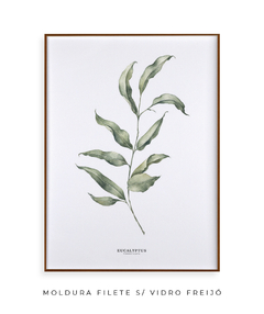 Quadro Decorativo Eucalipto I - Flowersjuls - Quadros decorativos botânicos | Aquarelas autorais