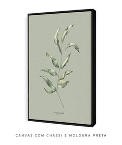 Quadro Decorativo Eucalipto I - Fundo Pistacchio - Flowersjuls - Quadros decorativos botânicos | Aquarelas autorais