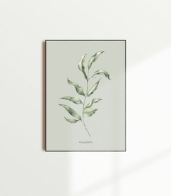 Quadro Decorativo Eucalipto I - Fundo Pistacchio