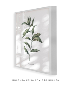 Quadro Decorativo Eucalipto II - loja online