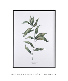 Quadro Decorativo Eucalipto II - Flowersjuls - Quadros decorativos botânicos | Aquarelas autorais
