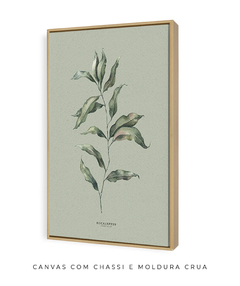 Imagem do Quadro Decorativo Eucalipto II - Fundo Pistacchio