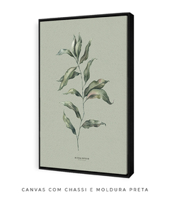 Quadro Decorativo Eucalipto II - Fundo Pistacchio - Flowersjuls - Quadros decorativos botânicos | Aquarelas autorais