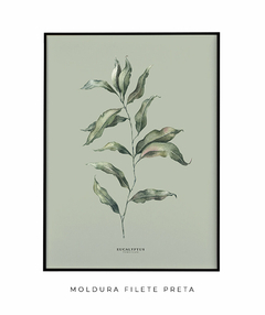Quadro Decorativo Eucalipto II - Fundo Pistacchio - Flowersjuls - Quadros decorativos botânicos | Aquarelas autorais