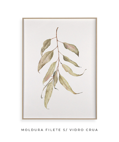 Quadro Decorativo Eucalipto Inverno I