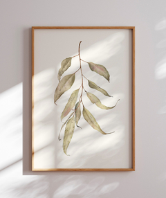 Quadro Decorativo Eucalipto Inverno I