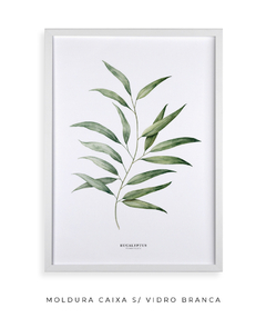 Quadro Decorativo Eucalyptus - Flowersjuls - Quadros botânicos decorativos | Aquarelas autorais