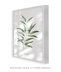 Quadro Decorativo Eucalyptus - loja online