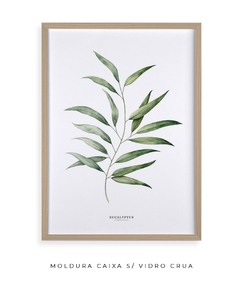 Imagem do Quadro Decorativo Eucalyptus