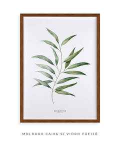 Quadro Decorativo Eucalyptus - comprar online