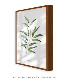 Quadro Decorativo Eucalyptus na internet