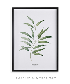 Quadro Decorativo Eucalyptus - Flowersjuls - Quadros decorativos botânicos | Aquarelas autorais